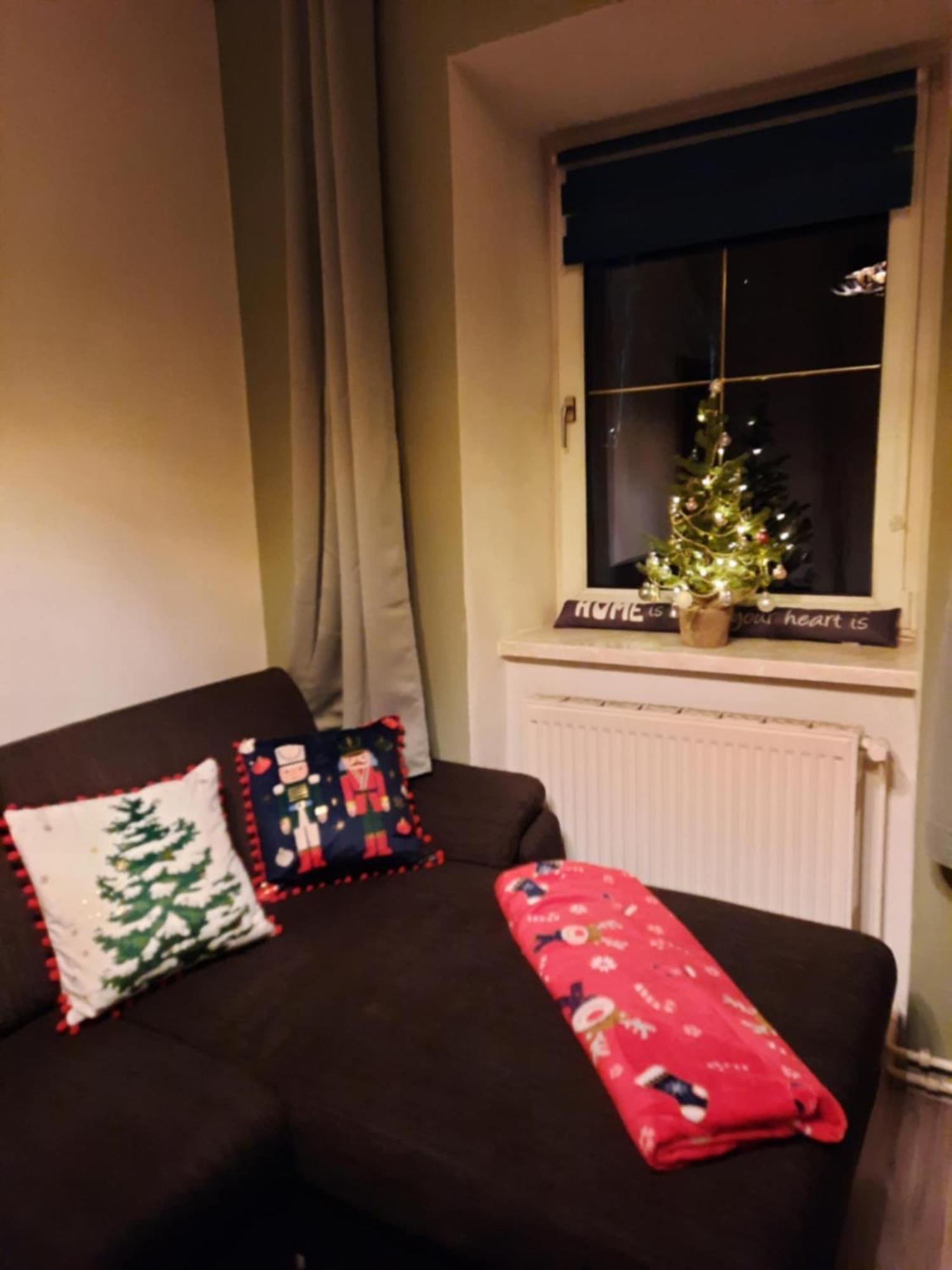 Ausseerland Apartments - Relax, Ski, Hike And Bike, Garden, Parking, Bbq, Near Hallstatt, Loser, Tauplitz And Krippenstein, Free Wi-Fi And Netflix Bad Aussee Oda fotoğraf