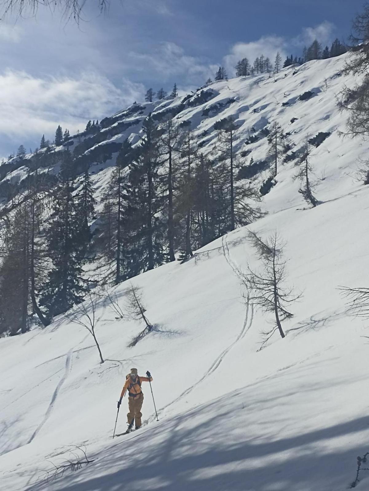 Ausseerland Apartments - Relax, Ski, Hike And Bike, Garden, Parking, Bbq, Near Hallstatt, Loser, Tauplitz And Krippenstein, Free Wi-Fi And Netflix Bad Aussee Dış mekan fotoğraf