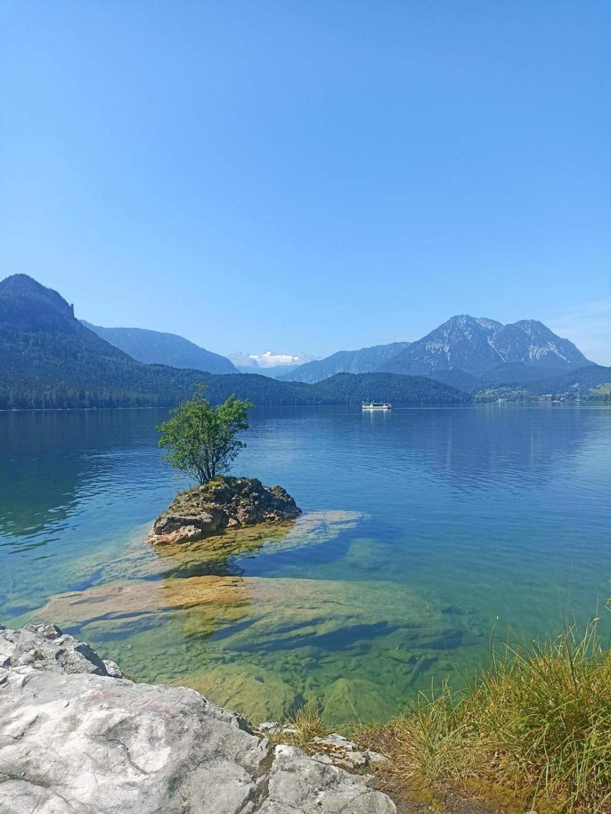 Ausseerland Apartments - Relax, Ski, Hike And Bike, Garden, Parking, Bbq, Near Hallstatt, Loser, Tauplitz And Krippenstein, Free Wi-Fi And Netflix Bad Aussee Dış mekan fotoğraf