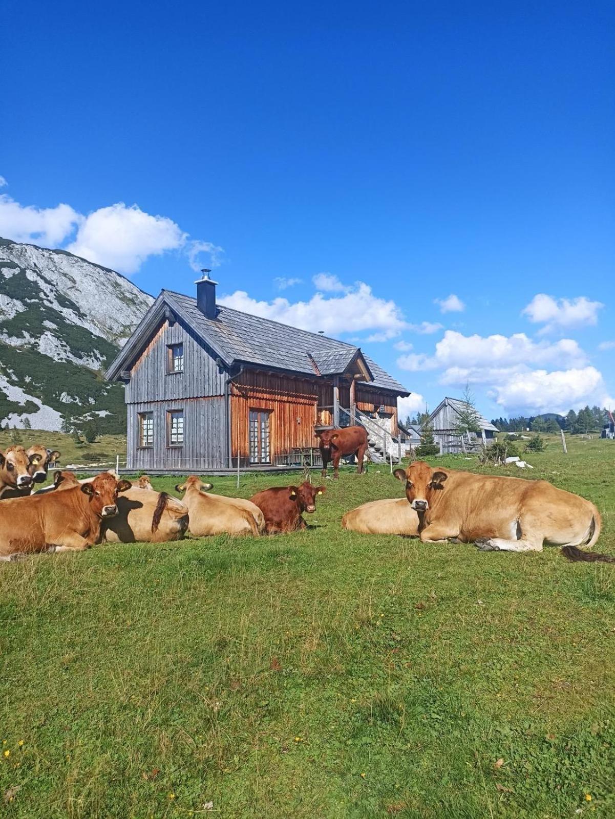 Ausseerland Apartments - Relax, Ski, Hike And Bike, Garden, Parking, Bbq, Near Hallstatt, Loser, Tauplitz And Krippenstein, Free Wi-Fi And Netflix Bad Aussee Dış mekan fotoğraf
