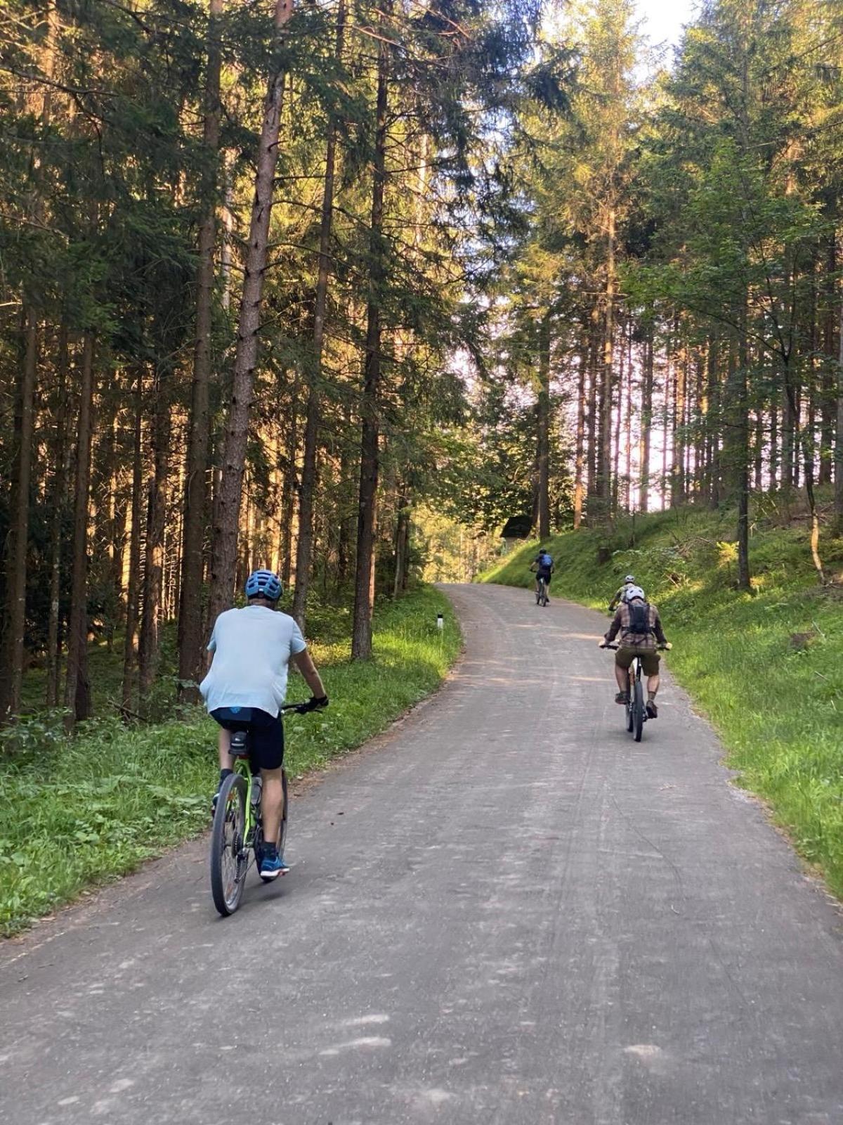 Ausseerland Apartments - Relax, Ski, Hike And Bike, Garden, Parking, Bbq, Near Hallstatt, Loser, Tauplitz And Krippenstein, Free Wi-Fi And Netflix Bad Aussee Dış mekan fotoğraf